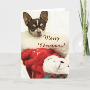 Merry kerst Chihuahua wenskaart Feestdagen Kaart