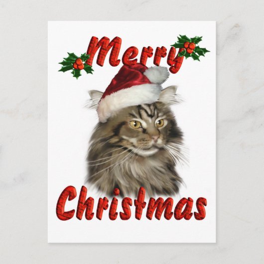 Merry kerst Maine Coon Cat Feestdagenkaart (Voorkant)