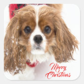 Merry kerst Snowy Cavalier King Charles Vierkante Sticker (Voorkant)