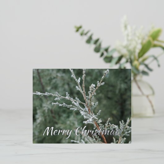 Merry kerst Sparking Frost Evergreen Branch Folie Feestdagen Briefkaart (Staand Voorkant)