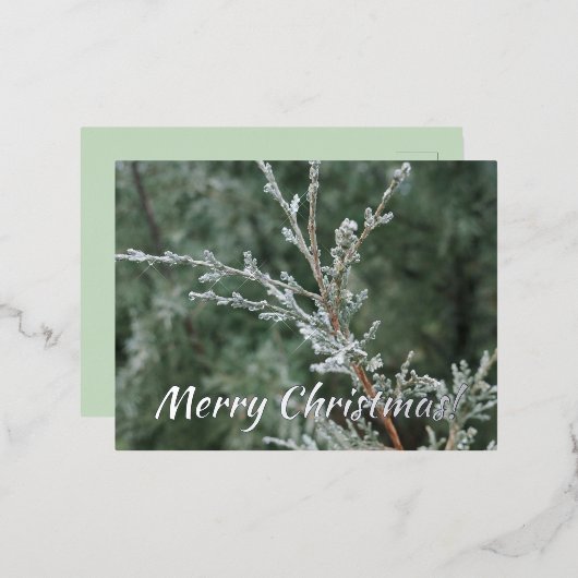 Merry kerst Sparking Frost Evergreen Branch Folie Feestdagen Briefkaart (Voorkant / Achterkant)