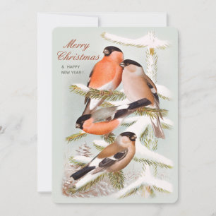Merry Kerstbullfinches snowy-pijnboom CC1058 Feestdagenkaart