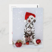 Merry Kerstdalmatian Briefkaart (Voorkant / Achterkant)