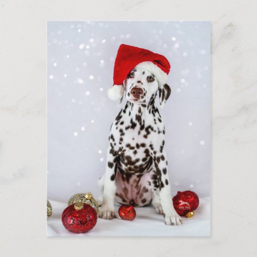 Merry Kerstdalmatian Briefkaart (Voorkant)