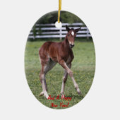 Merry Kerstfoal Ornament (Voorkant)