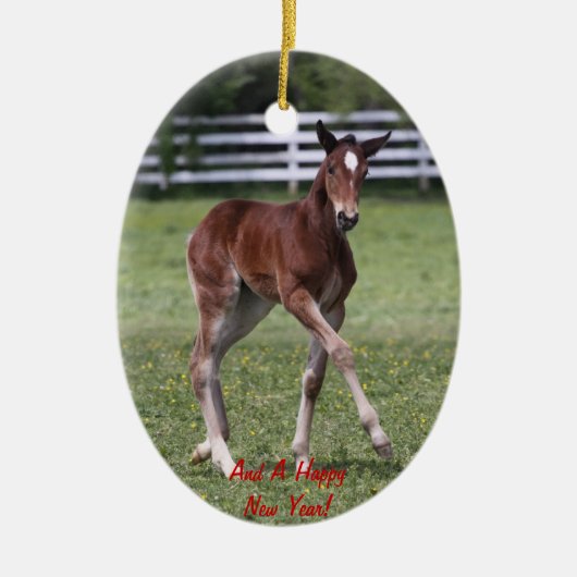 Merry Kerstfoal Ornament (Voorkant)