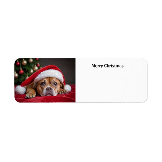 Merry Kersthond Etiket (Voorkant)