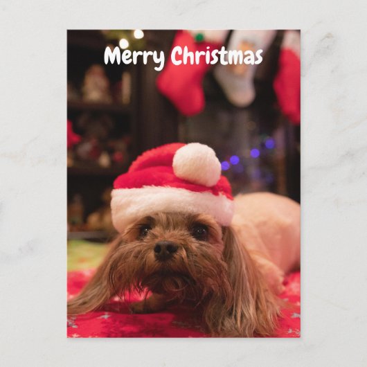 Merry Kersthond Feestdagenkaart (Voorkant)