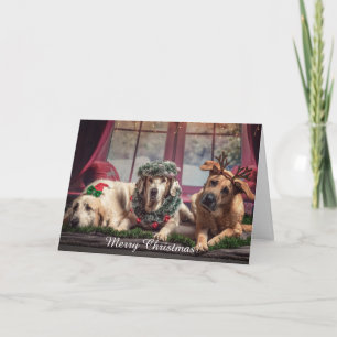 Merry Kerstmis Aanpassing Pet Foto Names Feestdagen Kaart