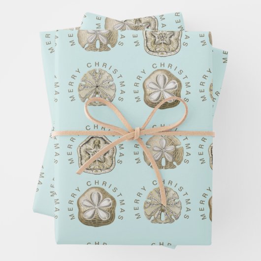 Merry Kerstmis en Dollar Turquoise Pattern Inpakpapier Vel (In situ)