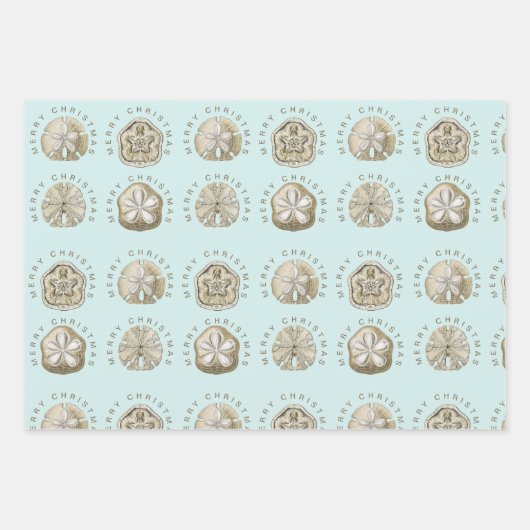 Merry Kerstmis en Dollar Turquoise Pattern Inpakpapier Vel (Voorkant)