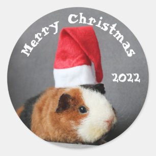 Merry-kerstpap-varken in een Santa Hat Ronde Sticker