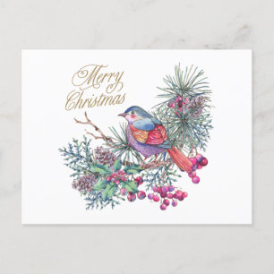 Merry kerstvogel op Pine Branch Feestdagenkaart