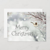 Merry KerstWinter Frost Bird Feestdagenkaart (Voorkant / Achterkant)
