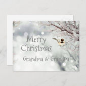 Merry KerstWinter Frost Bird Feestdagenkaart (Voorkant / Achterkant)