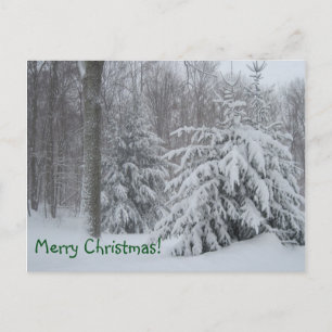 Merry KerstWinter Scene Feestdagenkaart