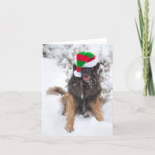 Merry Leonberger Kerstkaart Feestdagen Kaart