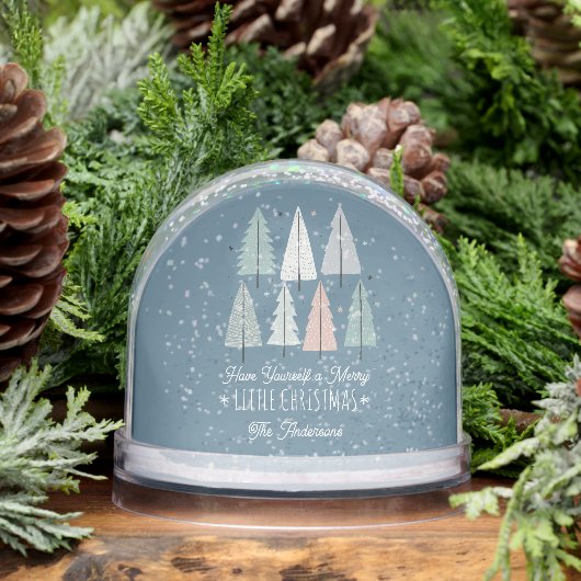 Merry Little Christmas Family Photo Snow Globe Sneeuwbol (Winter)