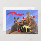 Merry Meerkats Briefkaart (Voorkant / Achterkant)
