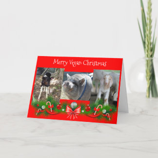 Merry Vegan Kerstmis Kaart