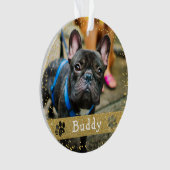 Merry Woofmas Gold Parties scintillant Chien anima (devant)