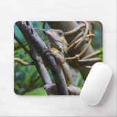 Merten's Water Monitor Muismat (Met muis)