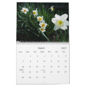 Merveilles florales, Calendrier 2008 (Mar 2027)