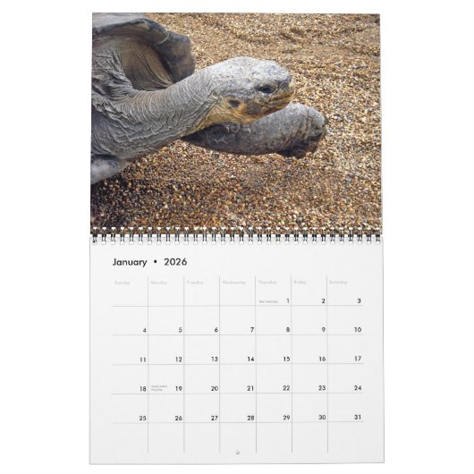 Merveilles naturelles de calendrier de l'Australie (Jan 2026)