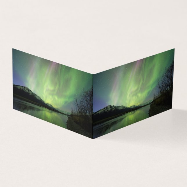 Merveilleux Aurora (Outside)