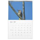 Merveilleux monde des pics-bois Calendrier de deux (Mar 2027)