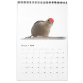 Merveilleux monde des pics-bois Calendrier de deux (Jan 2026)