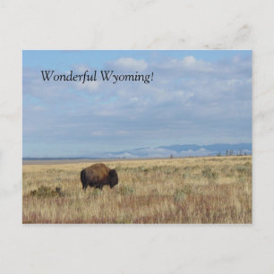 Merveilleux Wyoming ! Carte postale