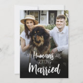 Mes humains se marient Faire-part de mariage (Devant)