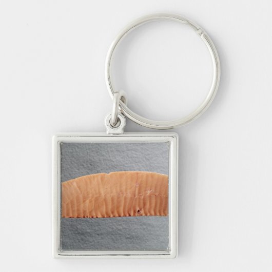 mes sleutelhanger (Voorkant)