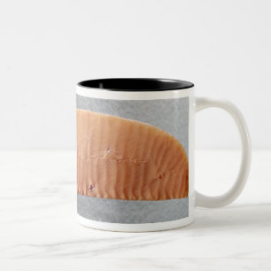mes tweekleurige koffiemok