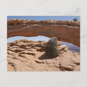 Mesa Arch en Tumbleweed in Canyonlands Briefkaart