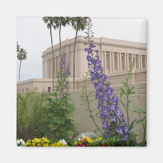 Mesa Temple Magnet (Devant)