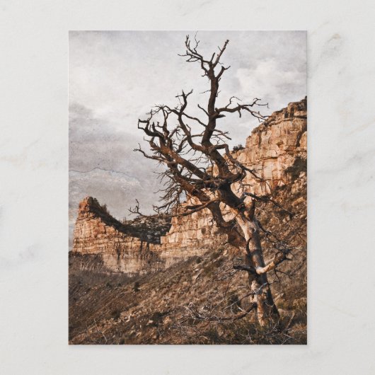 Mesa Verde Briefkaart (Voorkant)