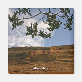 Mesa Vista Magneet