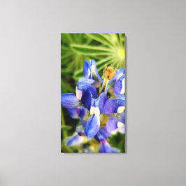 Mesmerising Nature spring flora collection Canvas Afdruk