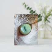 Mesmerizing Beauful Green Cat's Eye Briefkaart (Staand voorkant)