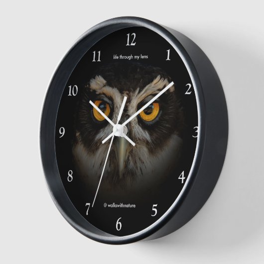 Mesmerizing Golden Eyes of a Spectacled Owl (Hoek)