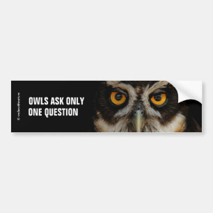 Mesmerizing Golden Eyes of a Spectacled Owl Bumpersticker