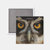 Mesmerizing Golden Eyes of a Spectacled Owl Magneet (Voorkant / Achterkant)
