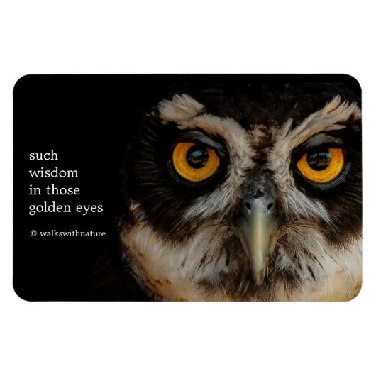 Mesmerizing Golden Eyes of a Spectacled Owl Magneet (Horizontaal)