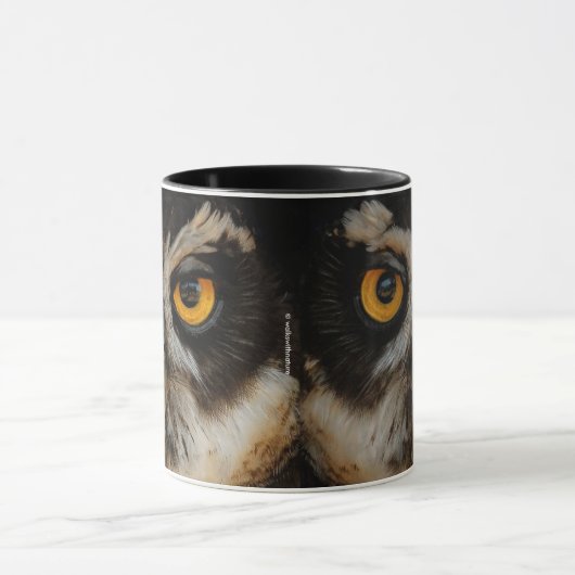 Mesmerizing Golden Eyes of a Spectacled Owl Mok (Midden)