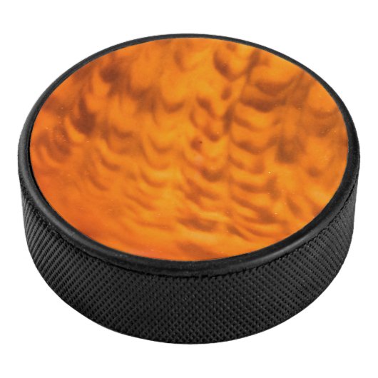 Mesmerizing seashell hockey puck (3/4)