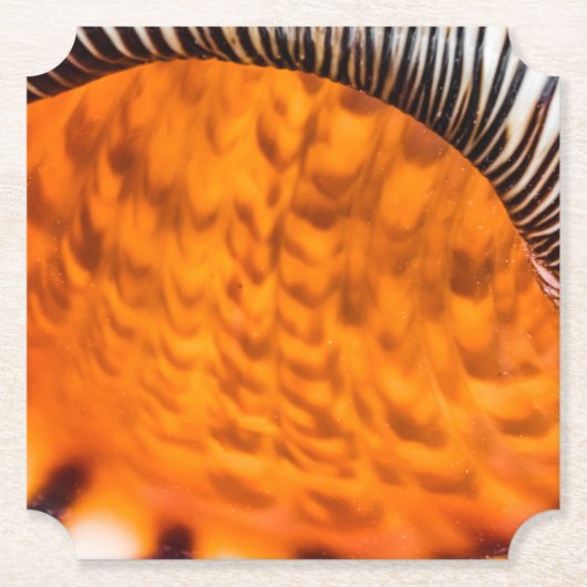 Mesmerizing seashell kartonnen onderzetters (Voorkant)