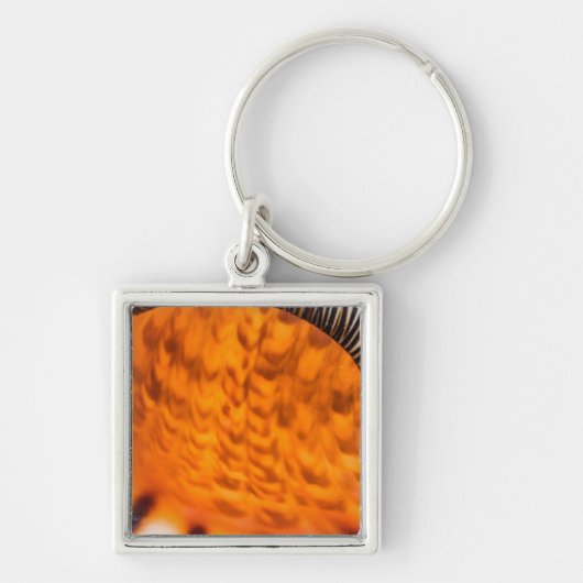 Mesmerizing seashell sleutelhanger (Voorkant)