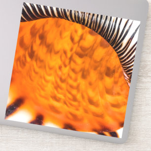 Mesmerizing seashell sticker